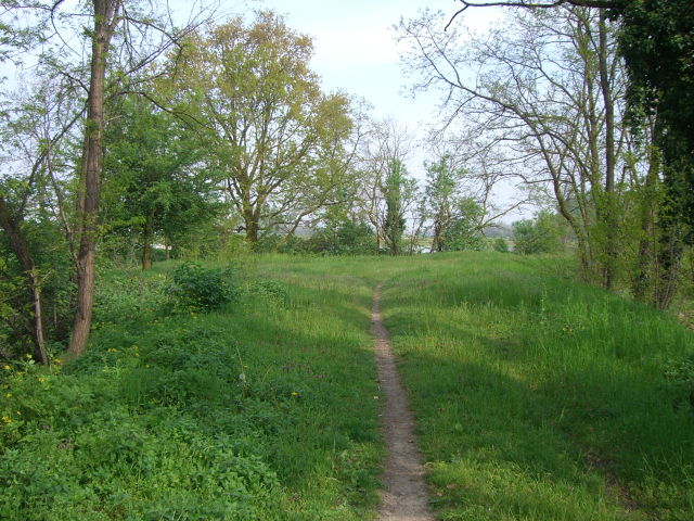 Campagna 3