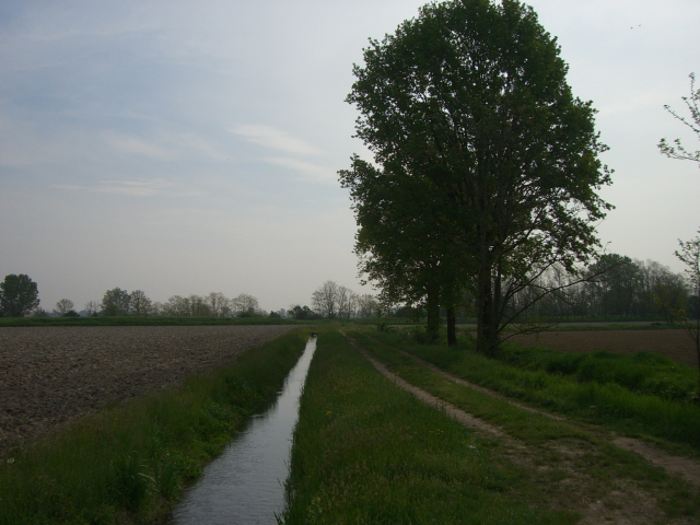 Campagna 5