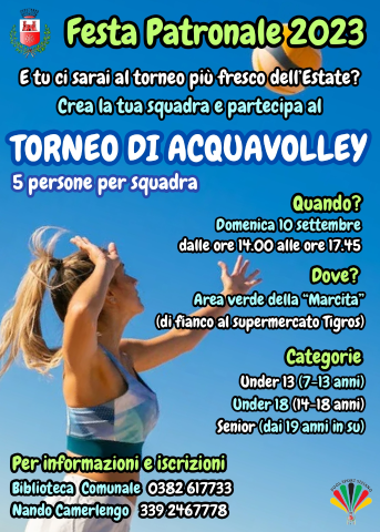 Locandina Volleyball