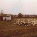 img-40416-O-36-1332-0-0-b5db537f72deeb400eca917a6ff3eb8f