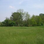 img-40479-O-36-1332-0-0-14b3e09a9cc6b01e1d28f7354257f5ea
