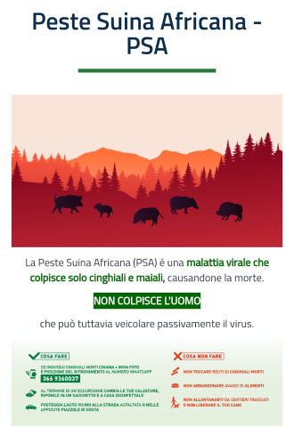 locandina peste suina