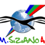 Logo Gruppo Modellisitico