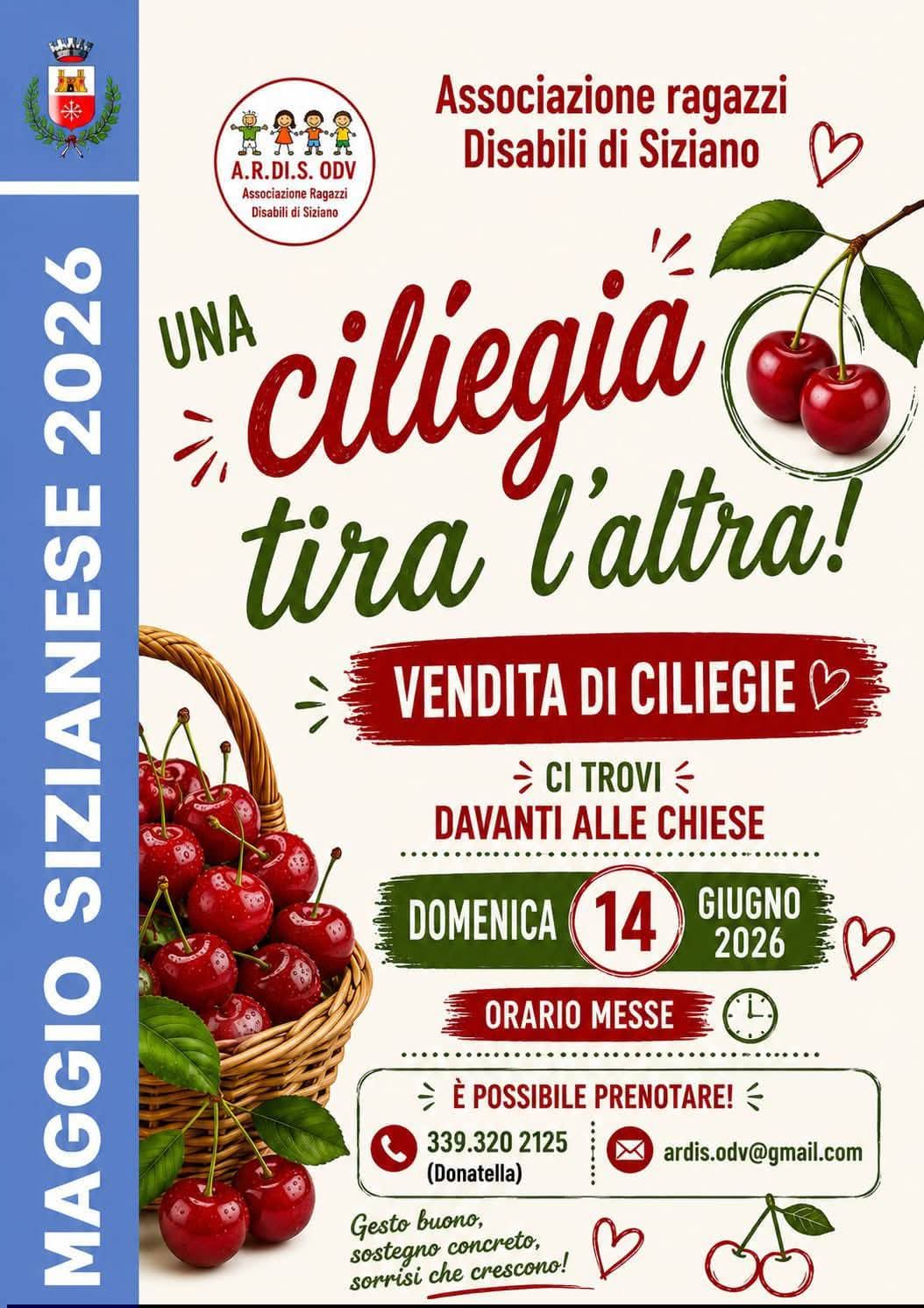 Immagine anteprima