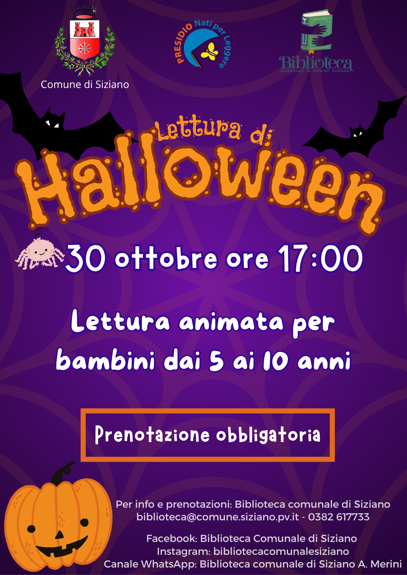 Immagine anteprima